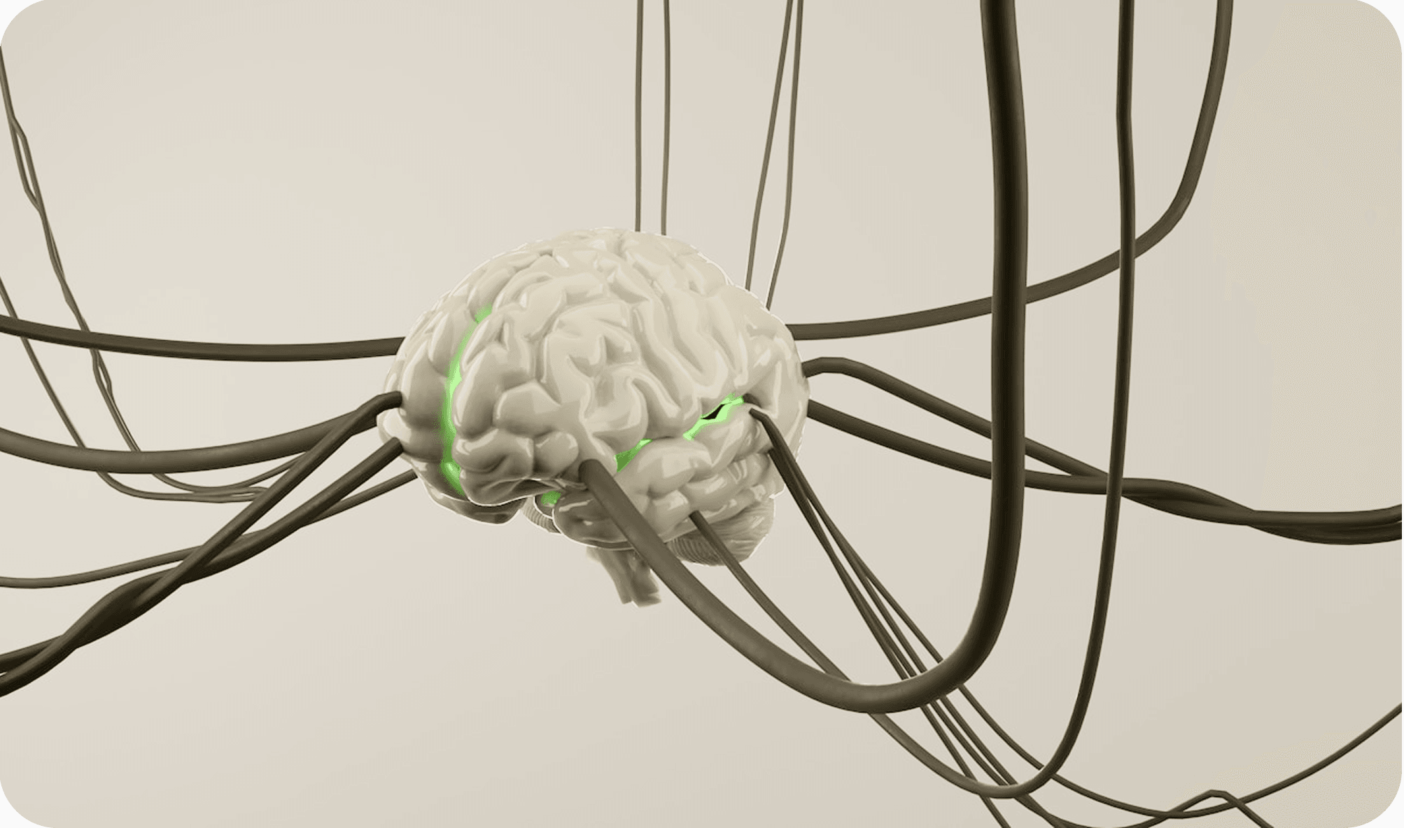 Brain representing GLP-1 appetite signaling