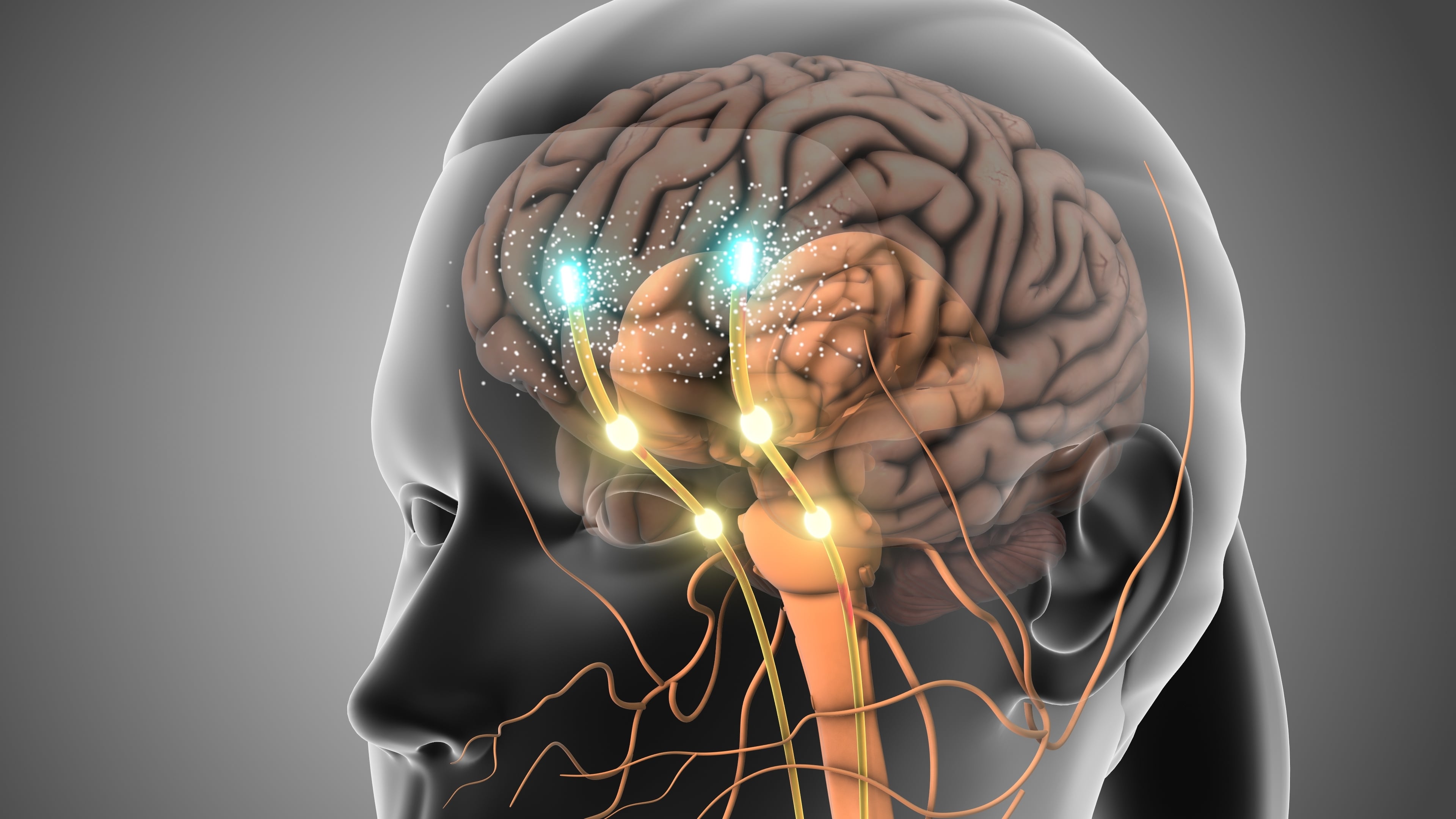 Oxytocin — reduces performance anxiety